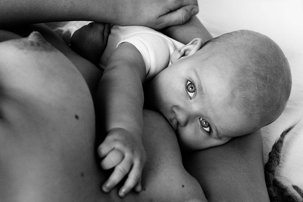 Baby wird gestillt und schaut auf beim Baby Fotoshooting in Hamburg Eppendorf