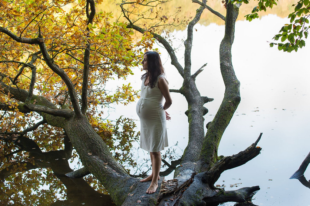 Schwangere im Wasser am Baum mit Herbstlaub beim Babybauch Shooting in Hamburg am See in der Natur