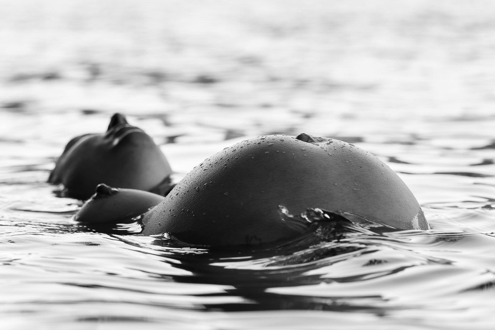 Schwangere liegt im See und hebt ihren Babybauch aus dem Wasser beim Babybauch Shooting in Hamburg draußen in der Natur