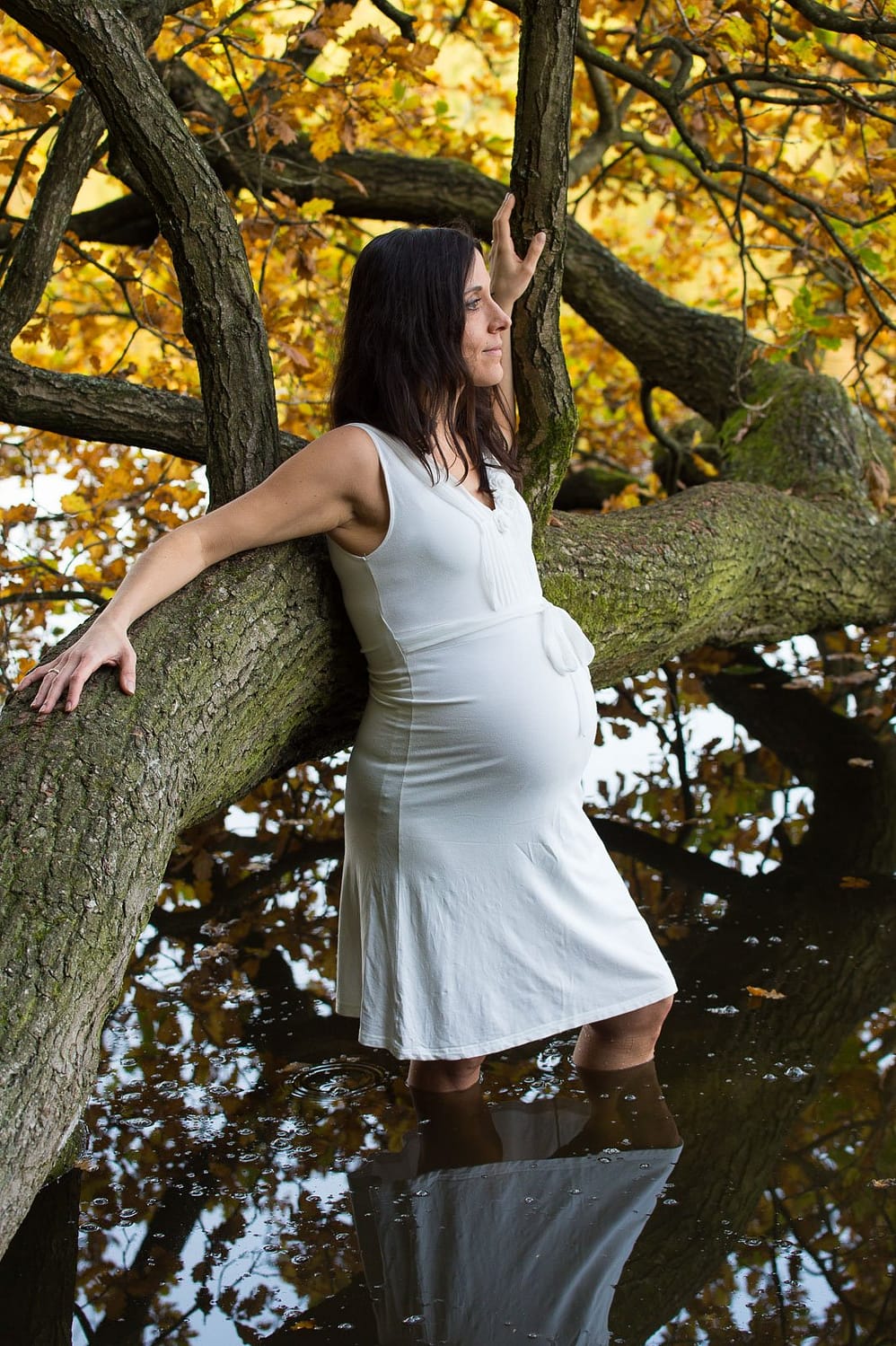 Schwangere im Wasser am Baum mit Herbstlaub beim Babybauch Shooting in Hamburg am See in der Natur